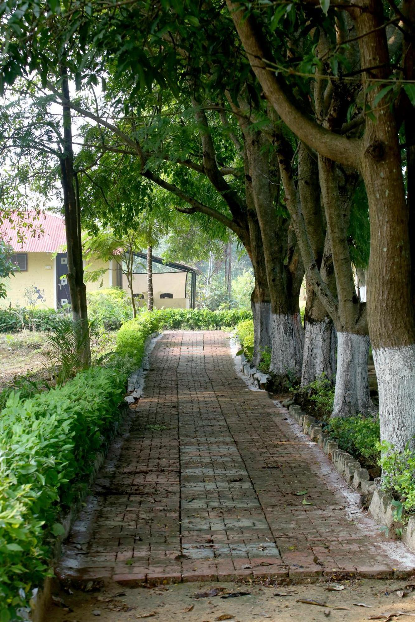 Tribal Wood Resort Dhanwār Zewnętrze zdjęcie