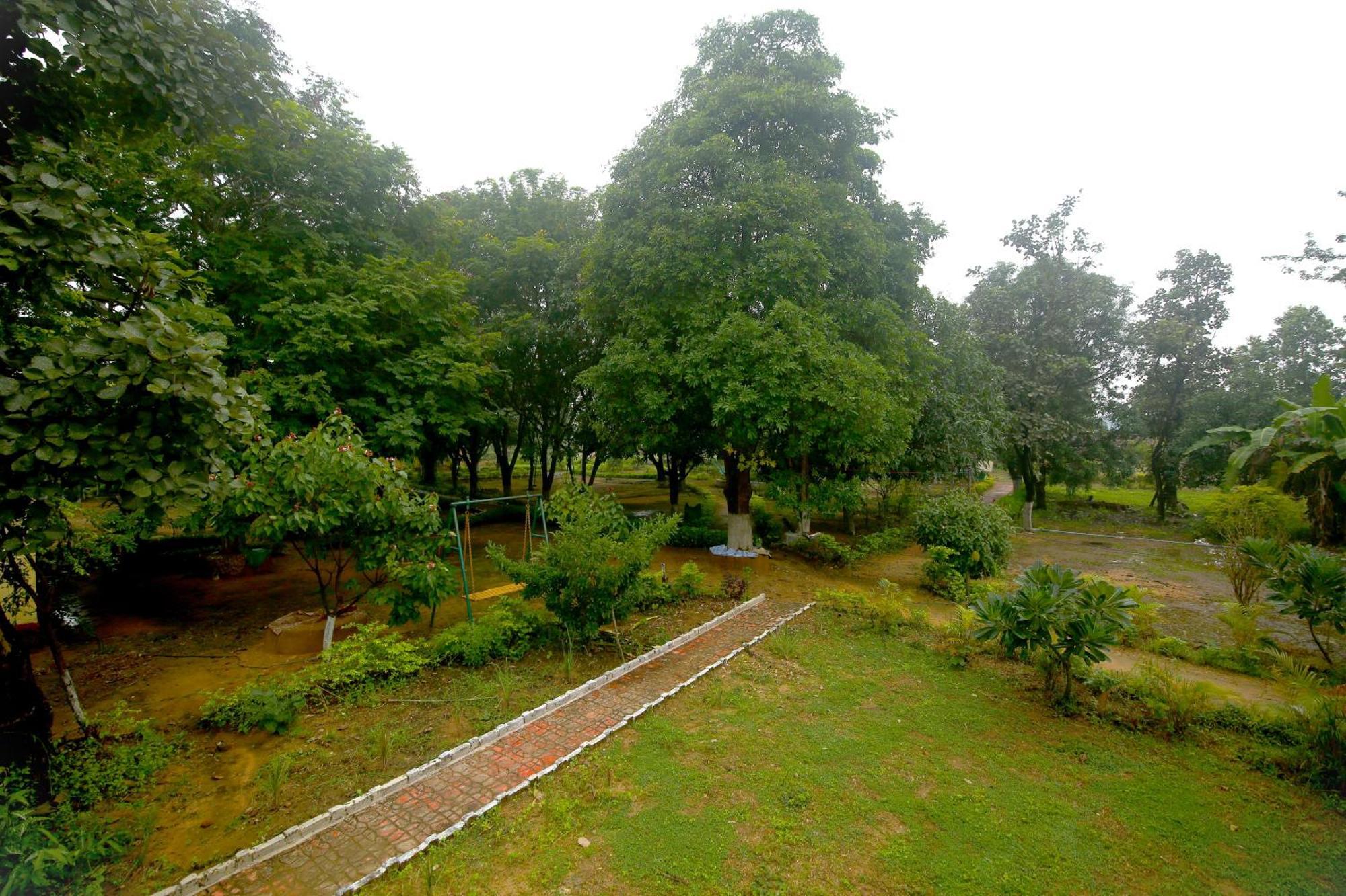 Tribal Wood Resort Dhanwār Zewnętrze zdjęcie